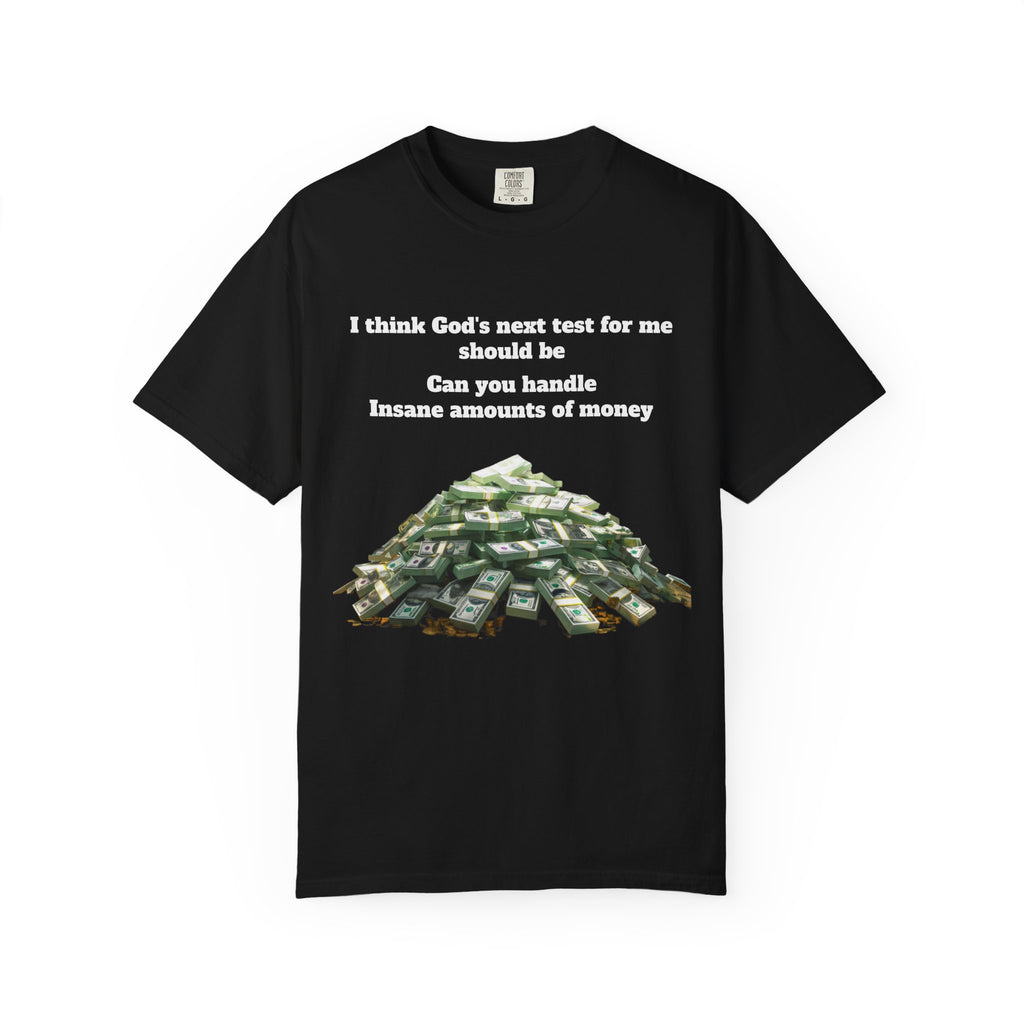 Graphic T-Shirt — "Can You Handle Insane Amounts of Money"