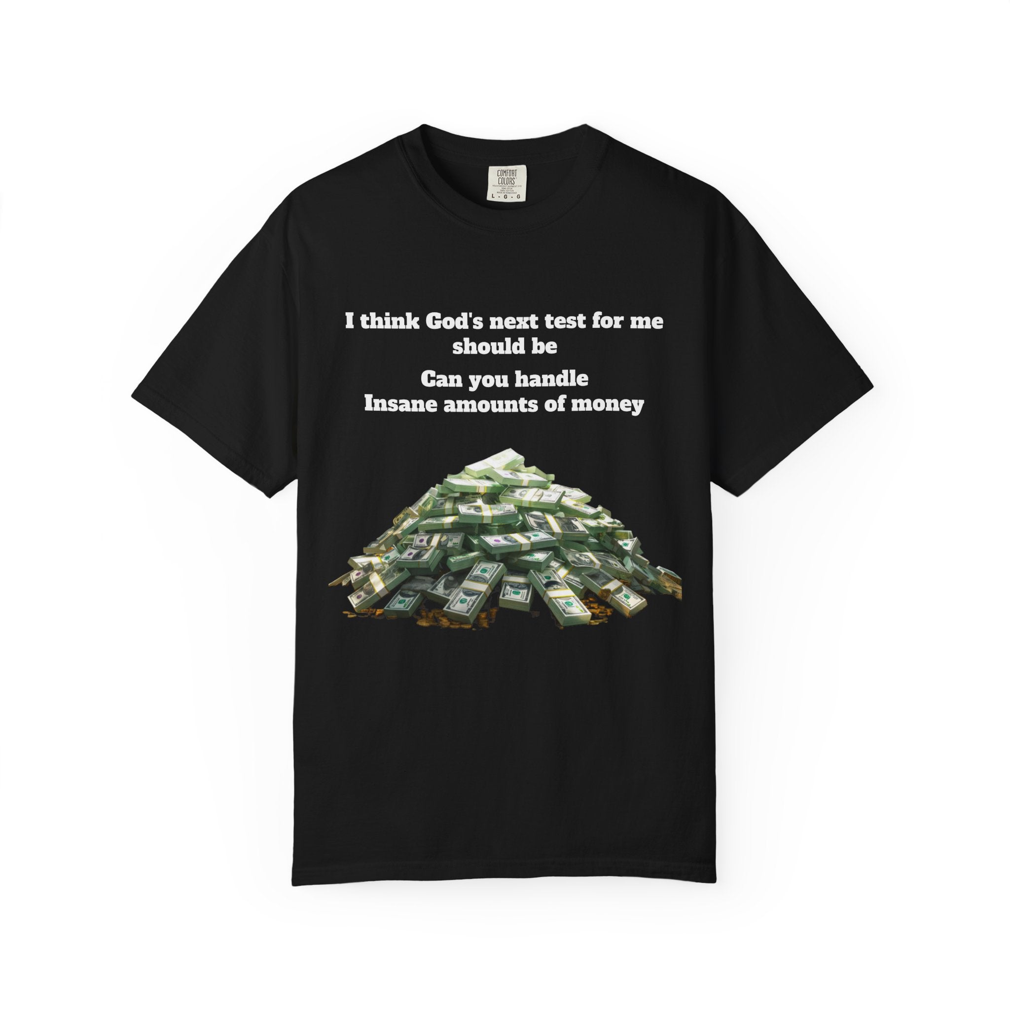 Graphic T-Shirt — "Can You Handle Insane Amounts of Money"