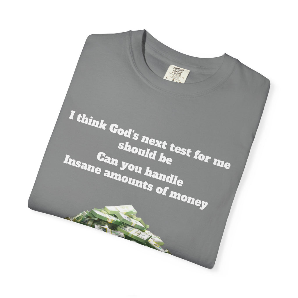 Graphic T-Shirt — "Can You Handle Insane Amounts of Money"