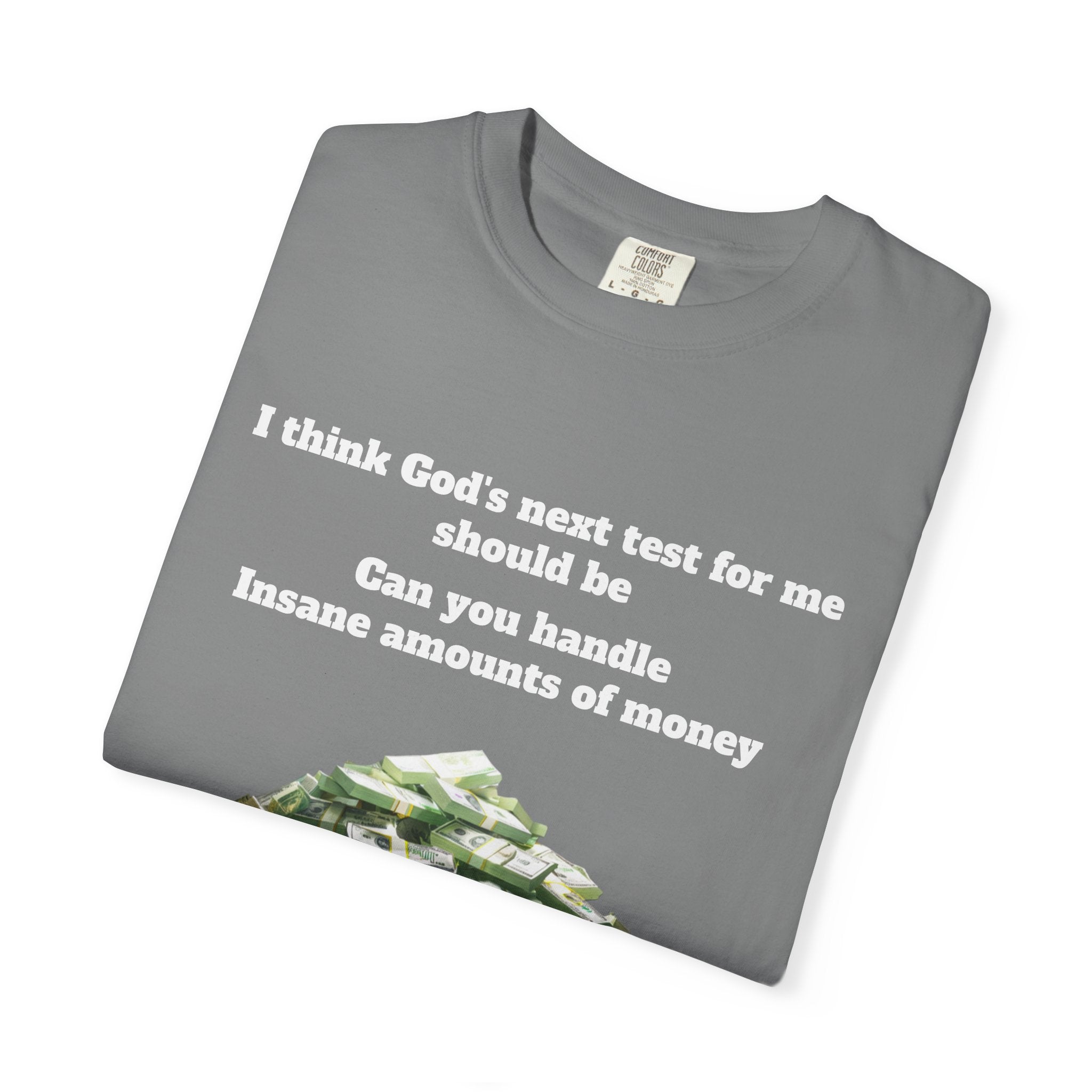 Graphic T-Shirt — "Can You Handle Insane Amounts of Money"
