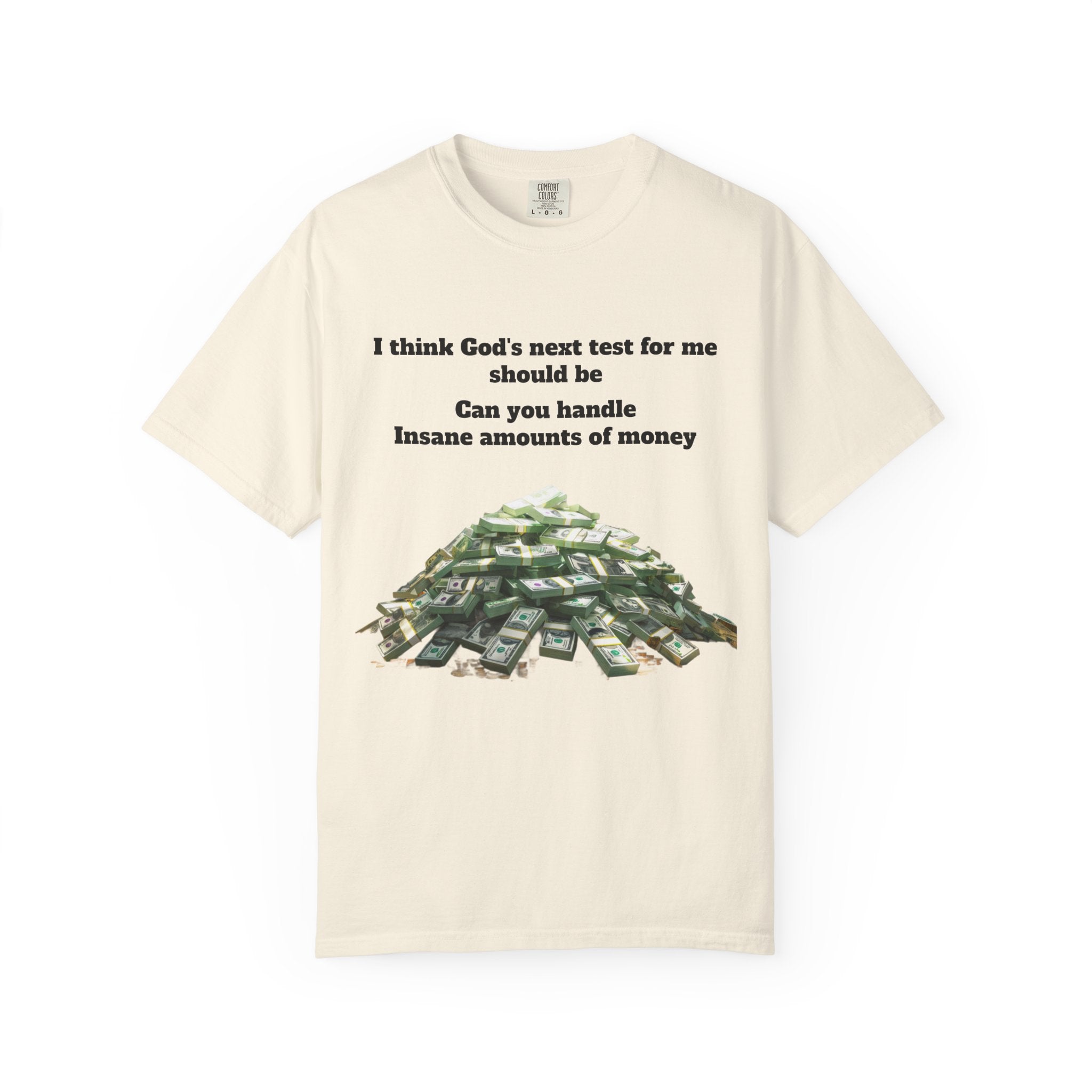 Graphic T-Shirt — "Can You Handle Insane Amounts of Money"
