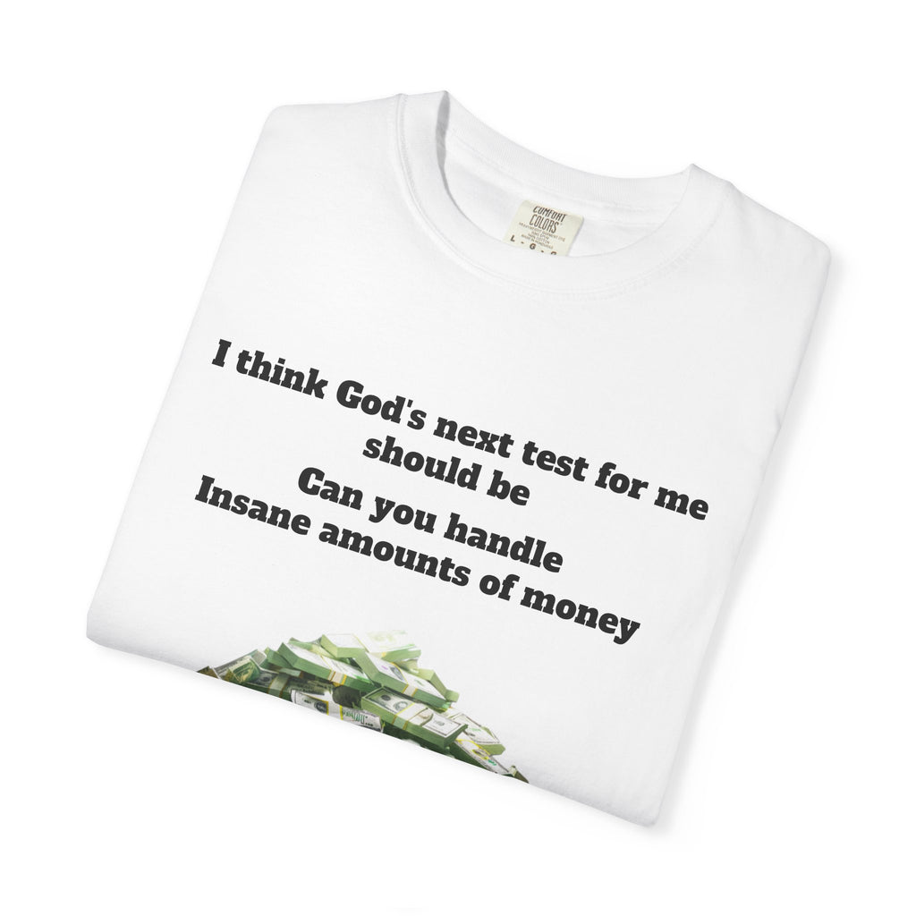 Graphic T-Shirt — "Can You Handle Insane Amounts of Money"