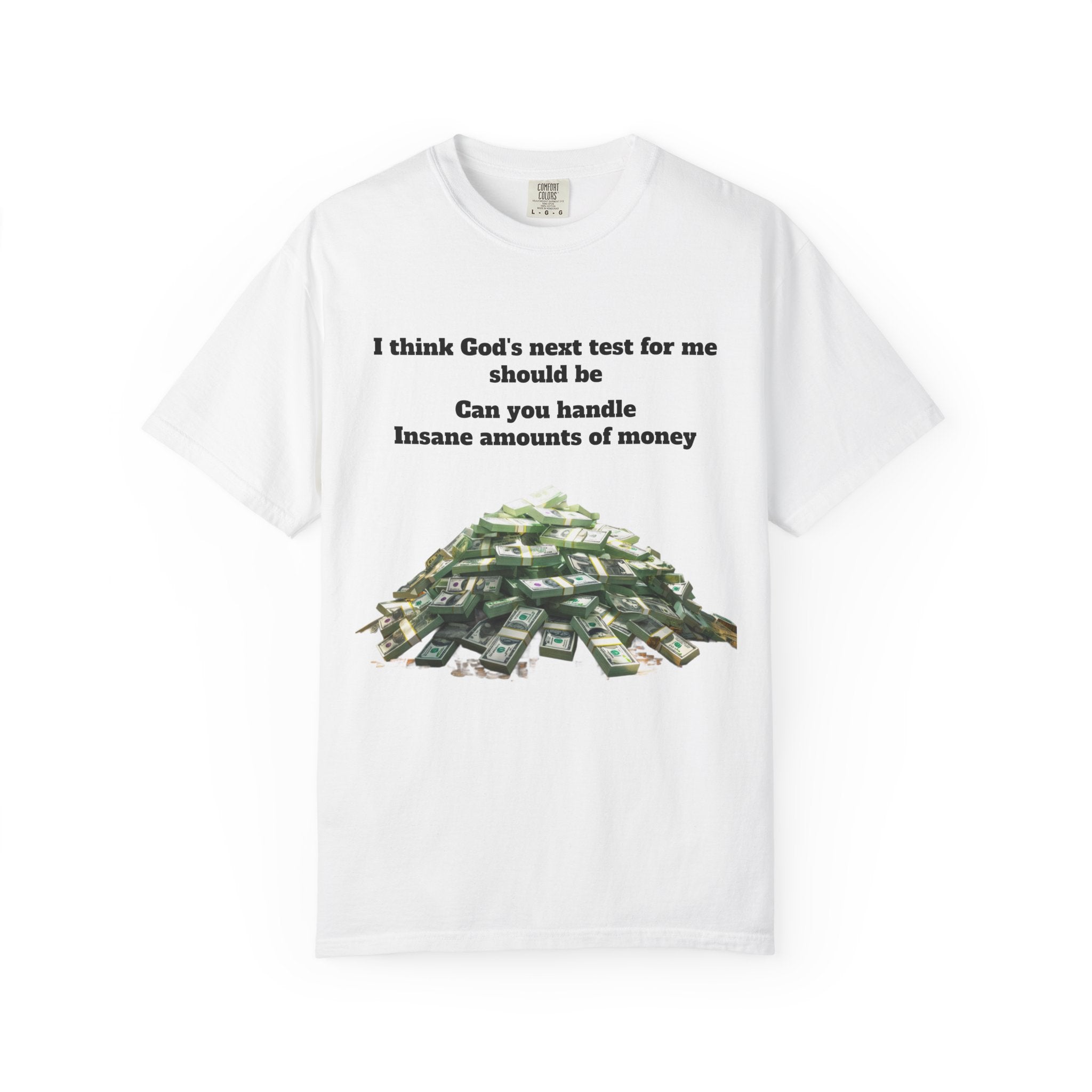 Graphic T-Shirt — "Can You Handle Insane Amounts of Money"