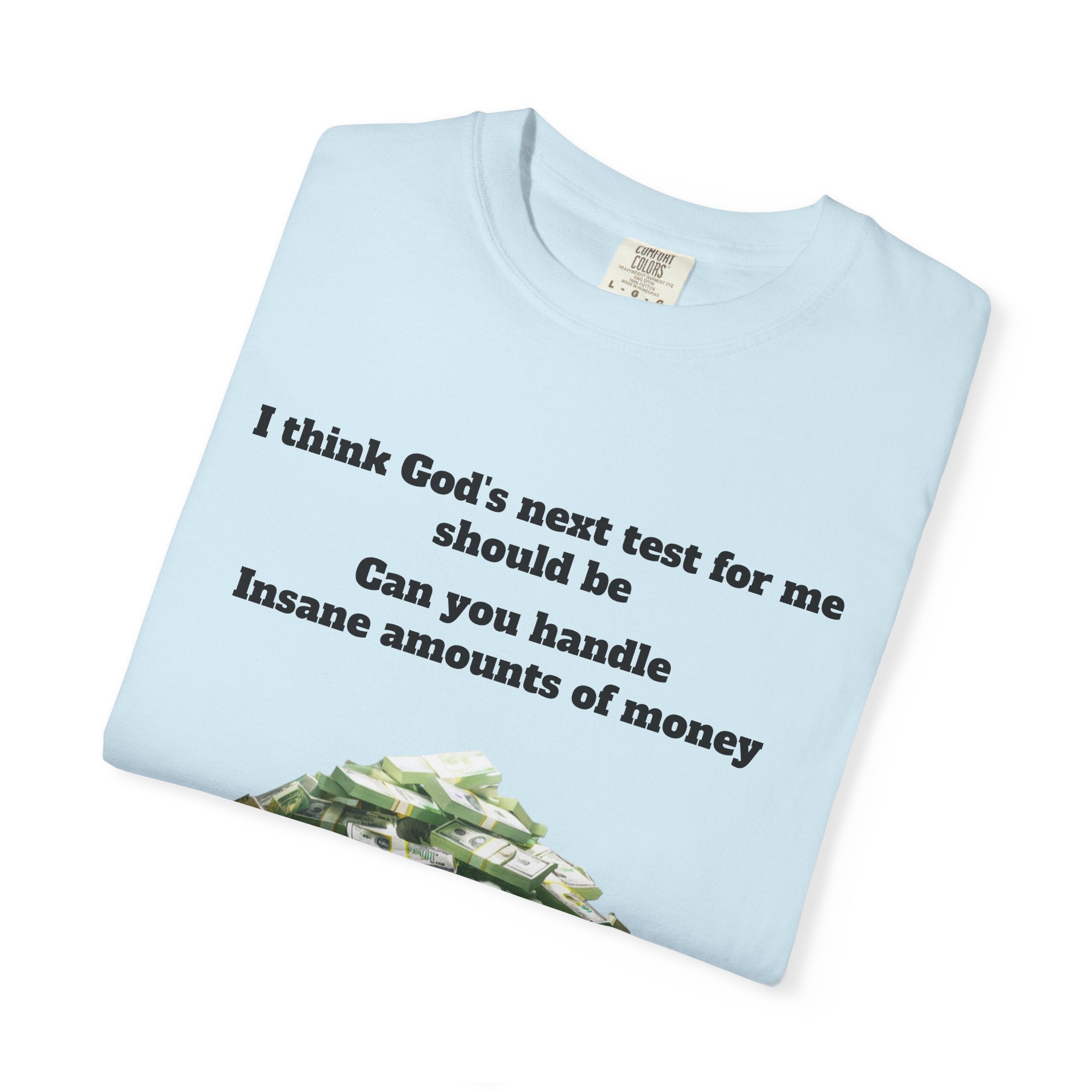 Graphic T-Shirt — "Can You Handle Insane Amounts of Money"
