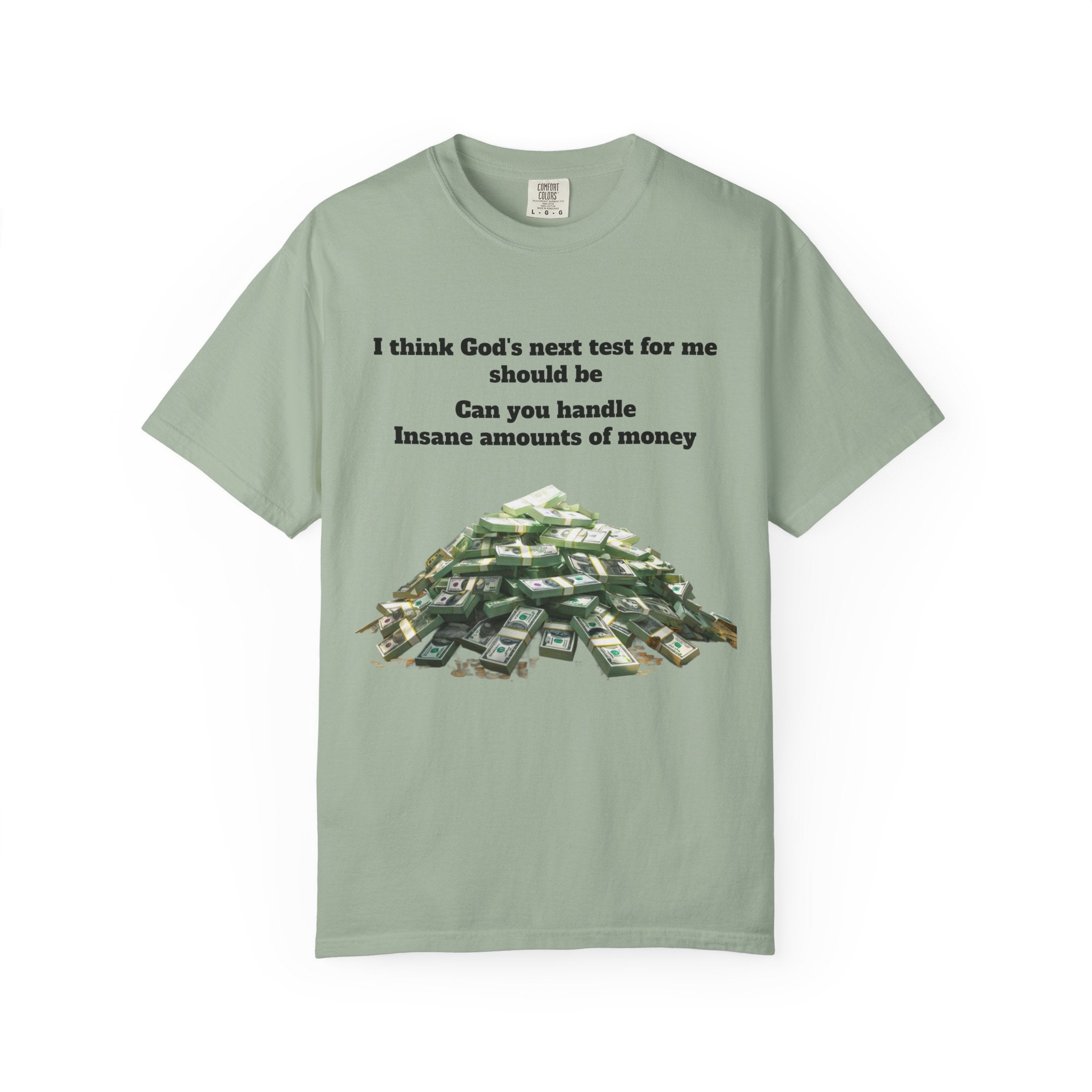 Graphic T-Shirt — "Can You Handle Insane Amounts of Money"