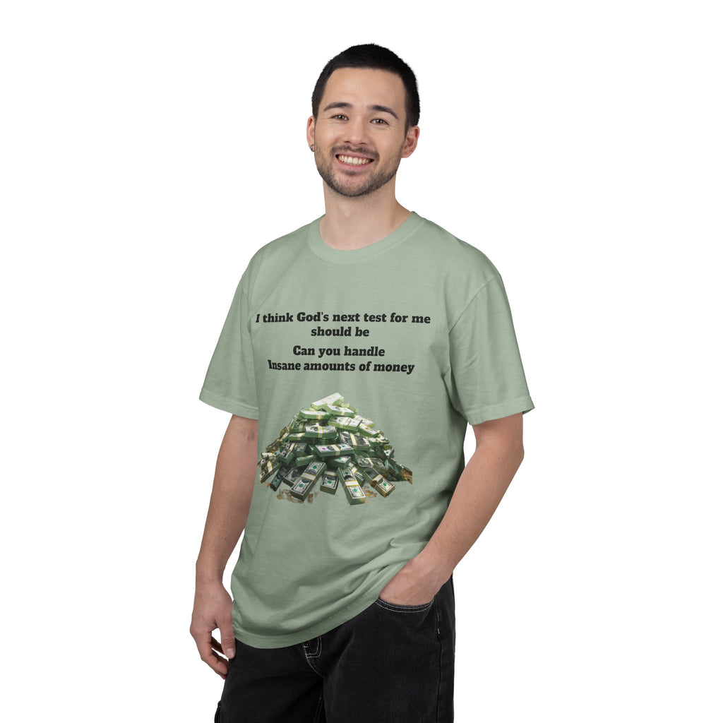 Graphic T-Shirt — "Can You Handle Insane Amounts of Money"