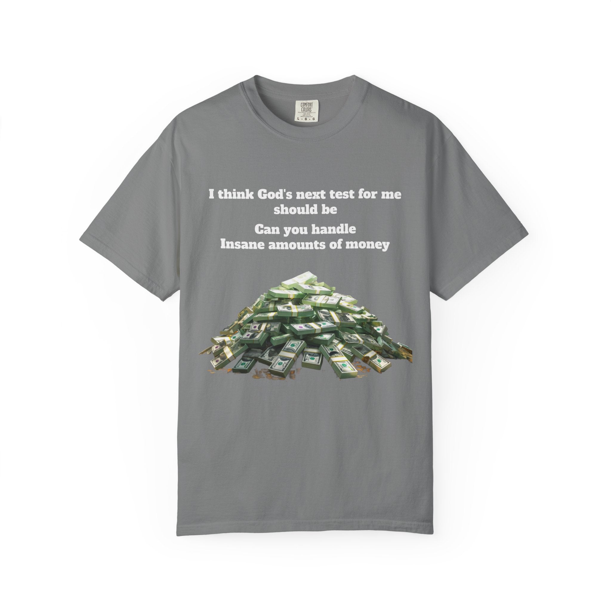 Graphic T-Shirt — "Can You Handle Insane Amounts of Money"