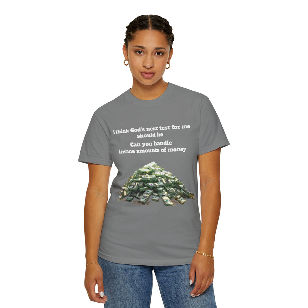 Graphic T-Shirt — "Can You Handle Insane Amounts of Money"