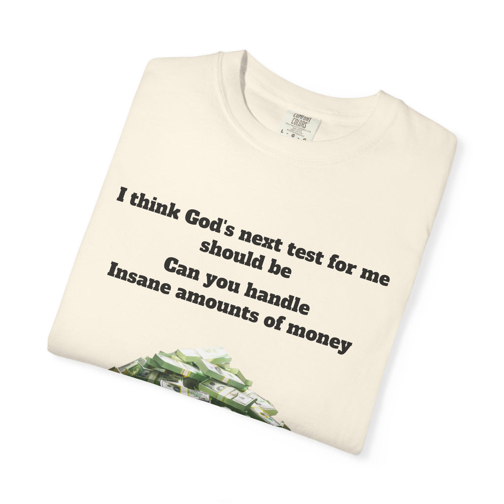 Graphic T-Shirt — "Can You Handle Insane Amounts of Money"