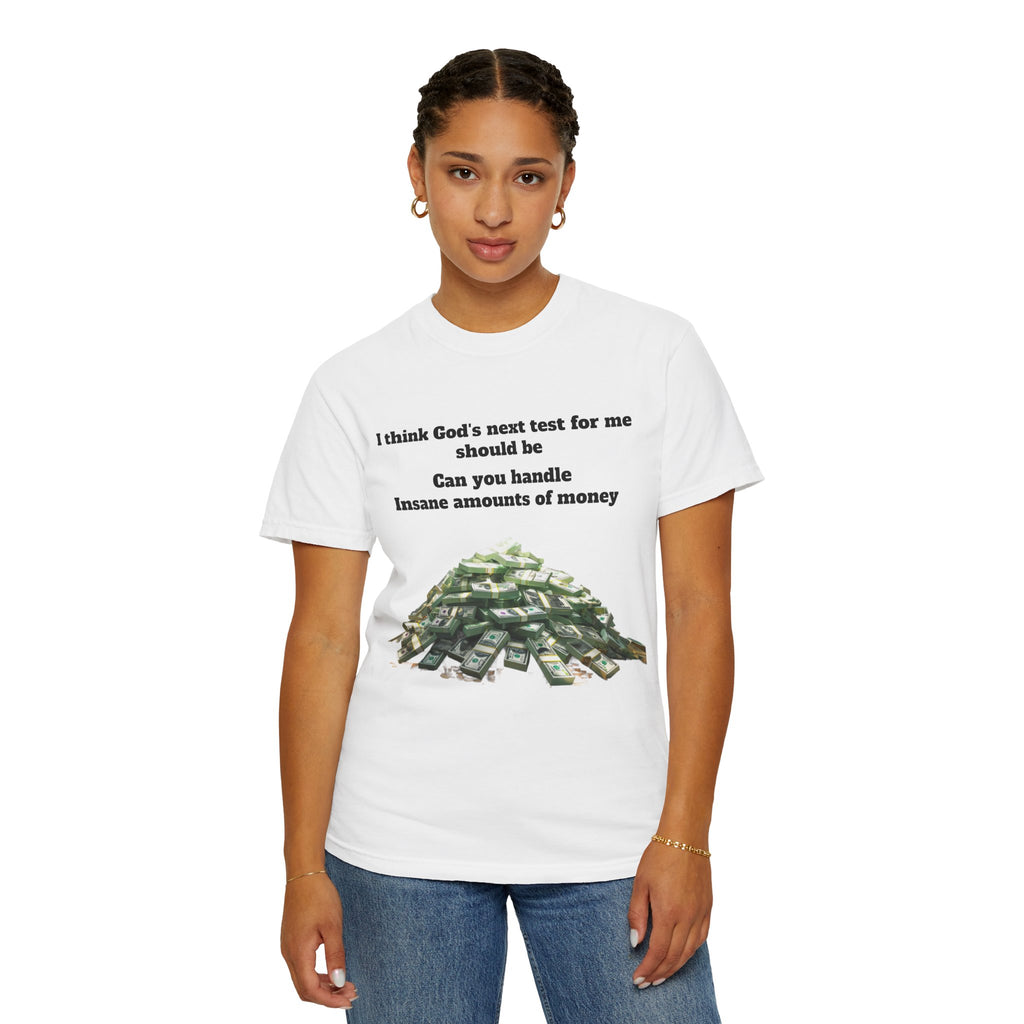 Graphic T-Shirt — "Can You Handle Insane Amounts of Money"