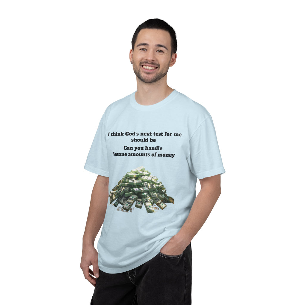 Graphic T-Shirt — "Can You Handle Insane Amounts of Money"