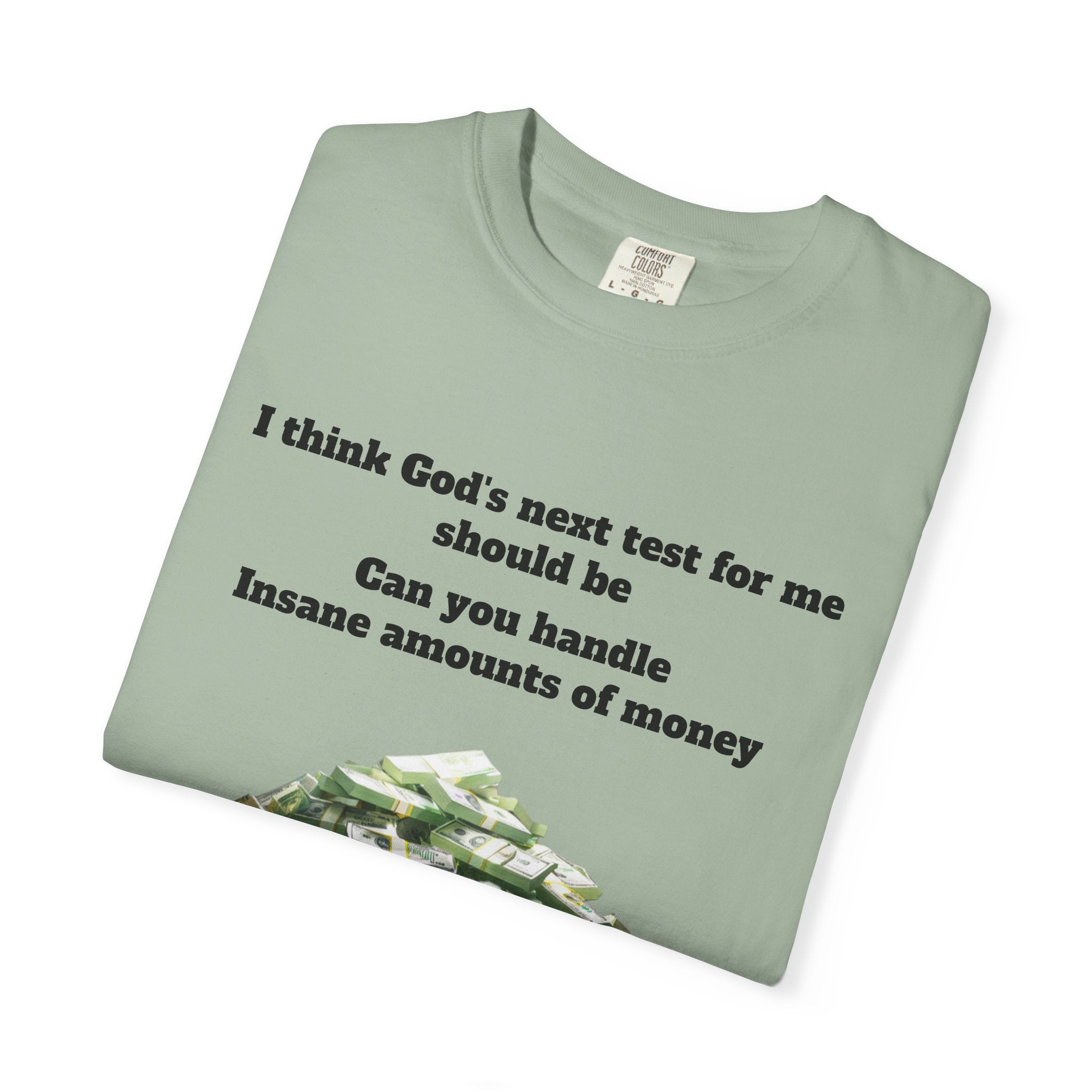 Graphic T-Shirt — "Can You Handle Insane Amounts of Money"