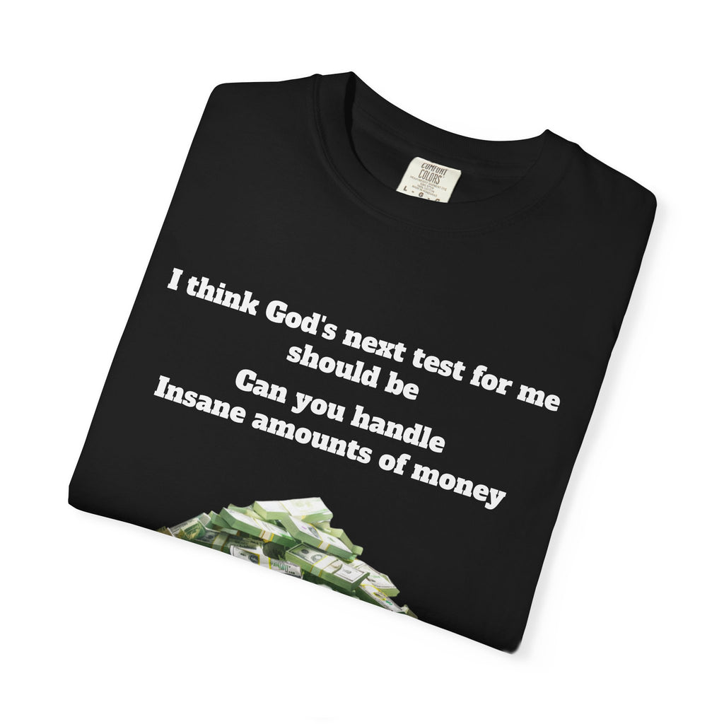 Graphic T-Shirt — "Can You Handle Insane Amounts of Money"